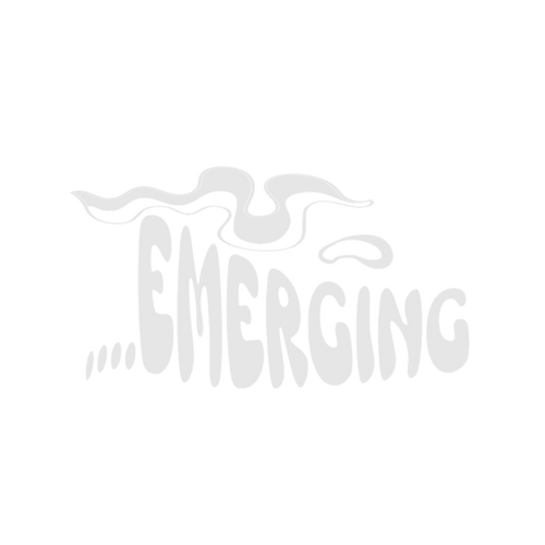 EMERGING 195